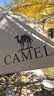 骆驼（CAMEL）户外精致露营黑胶天幕帐篷遮阳便携式防晒野营大凉棚1J32263960-2 实拍图