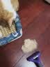 富美内特（FURminator）梳子猫咪去浮毛底绒梳开结梳猫毛梳美短英短暹罗美毛短毛猫大号 实拍图