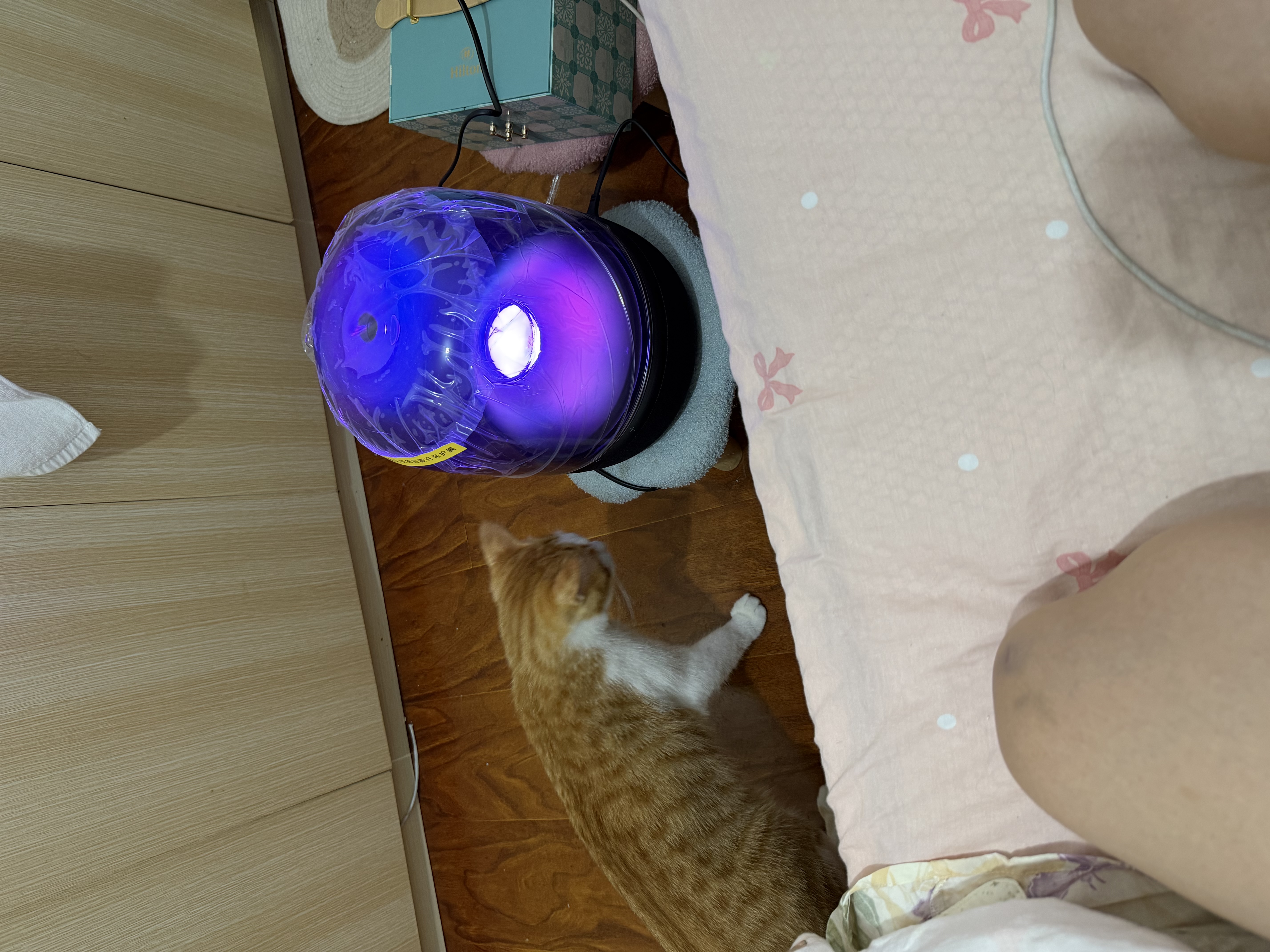 哈曼卡顿琉璃 蓝牙音箱 桌面家用电脑音响家庭影院 居家艺术音响 氛围感推荐 生日礼物 【经典黑色款】琉璃5代 音箱 实拍图