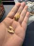 京东京造手剥大松子500g 当季新货阿富汗巴西松子S特级原香开口大颗粒送礼 实拍图