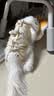 华元宠具（hoopet）猫咪绝育服宠物小狗狗母猫猫手术服透气戒奶服公猫防舔术后用衣服 实拍图