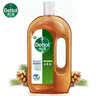 滴露（Dettol）消毒液洗衣衣物消毒水750mL 除螨杀菌混洗无忧 家居地板消毒 非84 实拍图