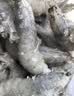 东上御品虾 青岛海鲜大虾基围虾鲜活青虾白虾海虾对虾冰虾冻虾生鲜 虾类 3斤(净重)  单冻大虾【活虾速冻】 15-18cm【单只超大虾】 实拍图