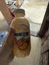 清蓝杨枝甘露380ml*15瓶整箱经典港式甜品椰果芒果味秋冬饮品饮料 实拍图