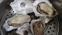 蟹小乔乳山生蚝【鲜活】特大当天打捞当天发货生蚝10斤牡蛎海蛎子海鲜 XL号净重5斤（不套标20-27只） 实拍图