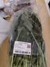 大菠菜300g 实拍图