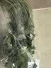 带根香菜100g 实拍图
