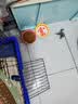 麦富迪猫粮 超肉粒冻干双拼幼猫粮免疫护肠胃 三文鱼2kg 实拍图