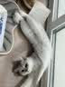 冠能猫粮成猫猫粮鸡肉味3.5kg 全价猫粮 稳固免疫 适口性强 实拍图