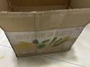 京鲜生山东双色五彩椒净重4.5斤装 单果150g起源头直发 实拍图