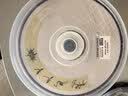 紫光DVD+R光盘/刻录盘 天语系列 空白盘 16速4.7G 桶装50片 实拍图