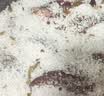 云山半盐焗粗盐880g*2袋 盐焗盐盐焗海鲜粗海盐盐焗粉腌制调料香辛料包 实拍图