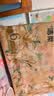 洁柔抽纸 繁花系列3层100抽*6包 可湿水面巾纸 柔韧卫生纸 提装纸巾 实拍图