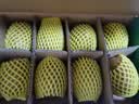 佳沛（zespri）新西兰金奇异果10个装单果重103-114g猕猴桃中秋节礼品送水果礼盒 实拍图
