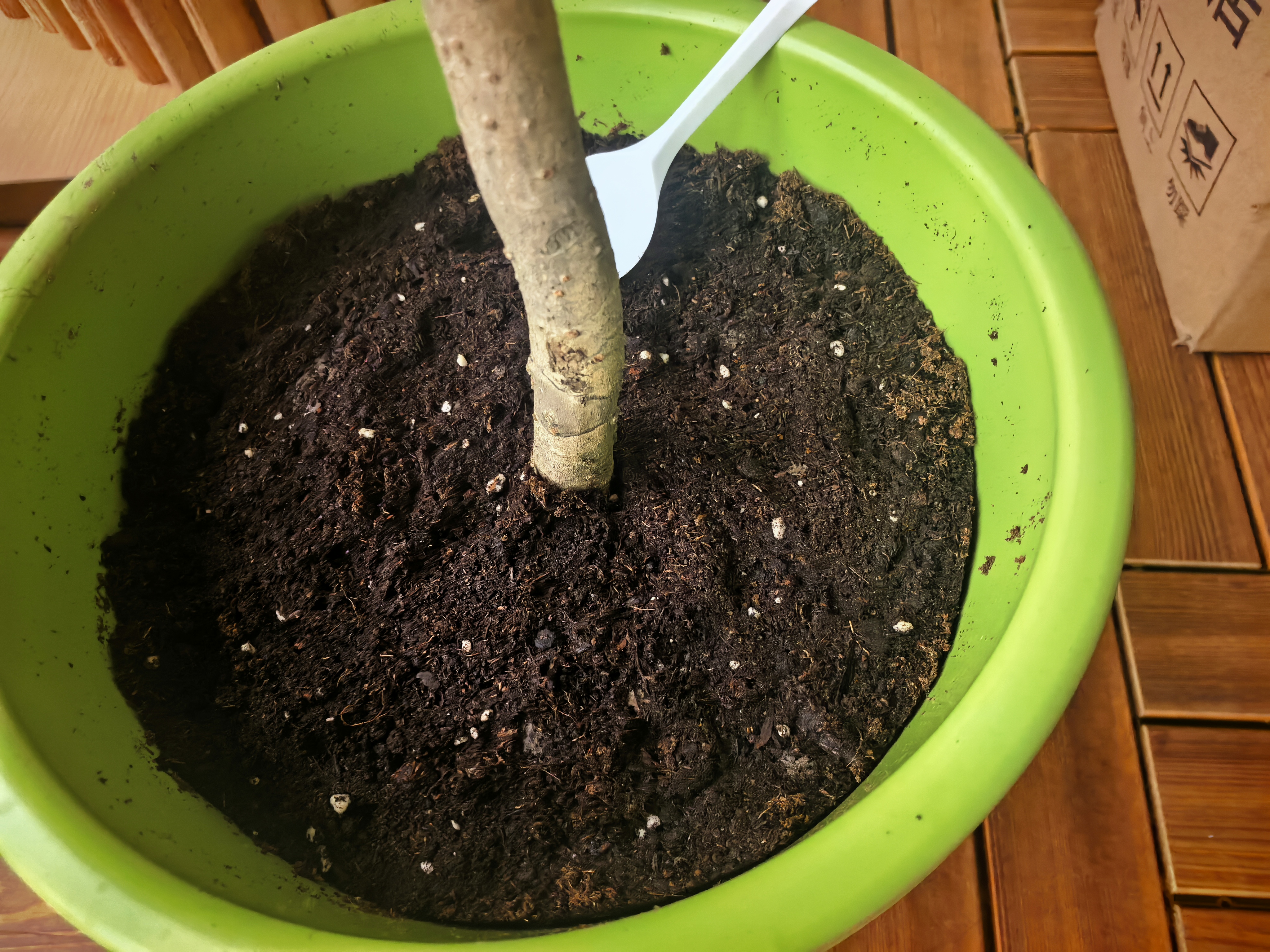 史丹利桂花树专用营养液500ml 家用花肥料盆栽通用复合肥金桂四季桂花肥 实拍图