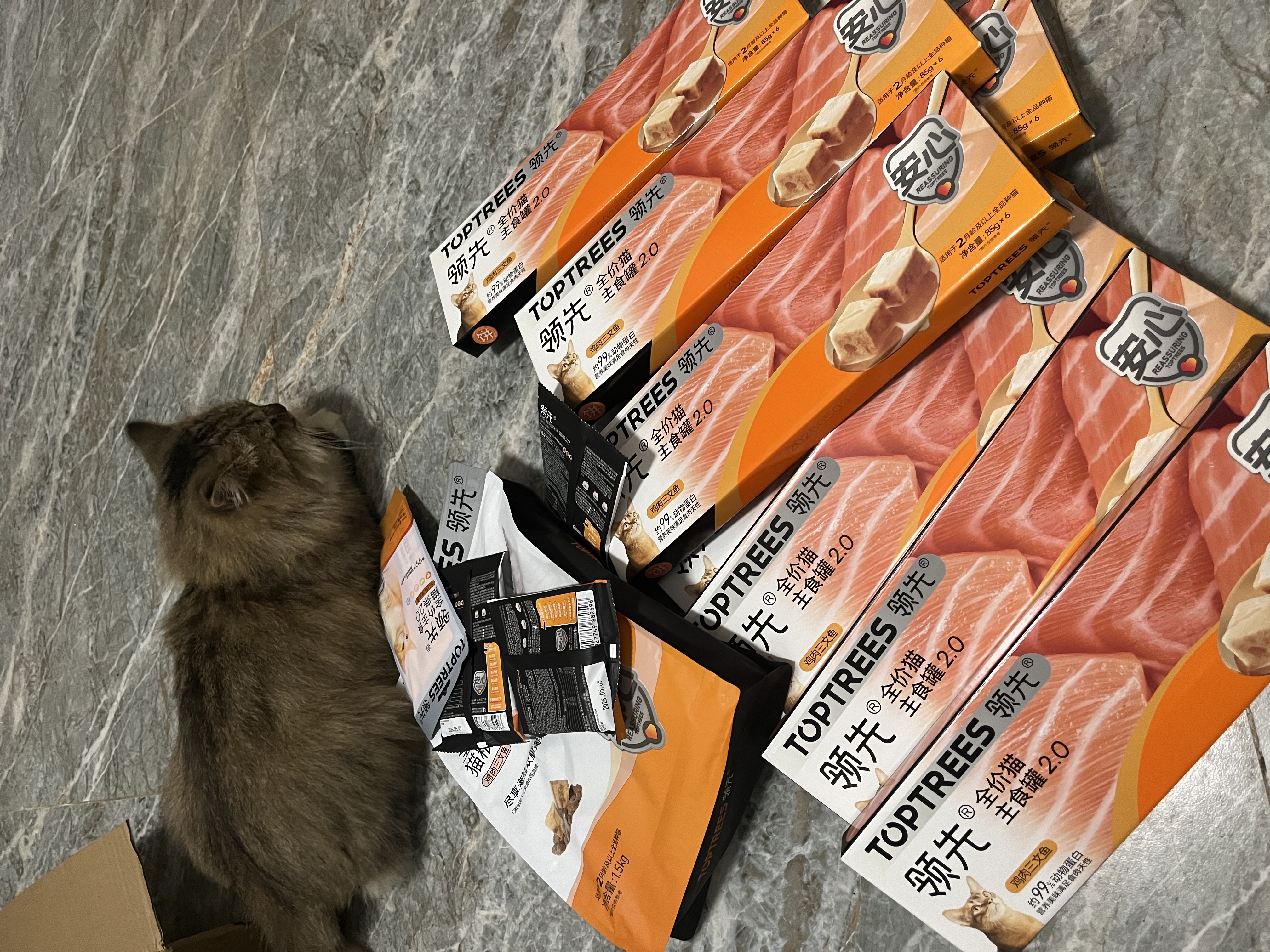 领先猫主食罐头零食湿粮全价礼盒装混合口味85g*30罐 实拍图