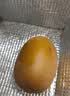 佳沛（zespri）新西兰金奇异果22粒巨大原箱146-175g猕猴桃水果礼盒 实拍图