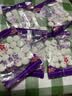 【5元200粒】樟脑丸衣柜防霉防蛀虫去湿防潮除味驱家用防蟑螂球 亏本处理：【5袋】100颗 实拍图