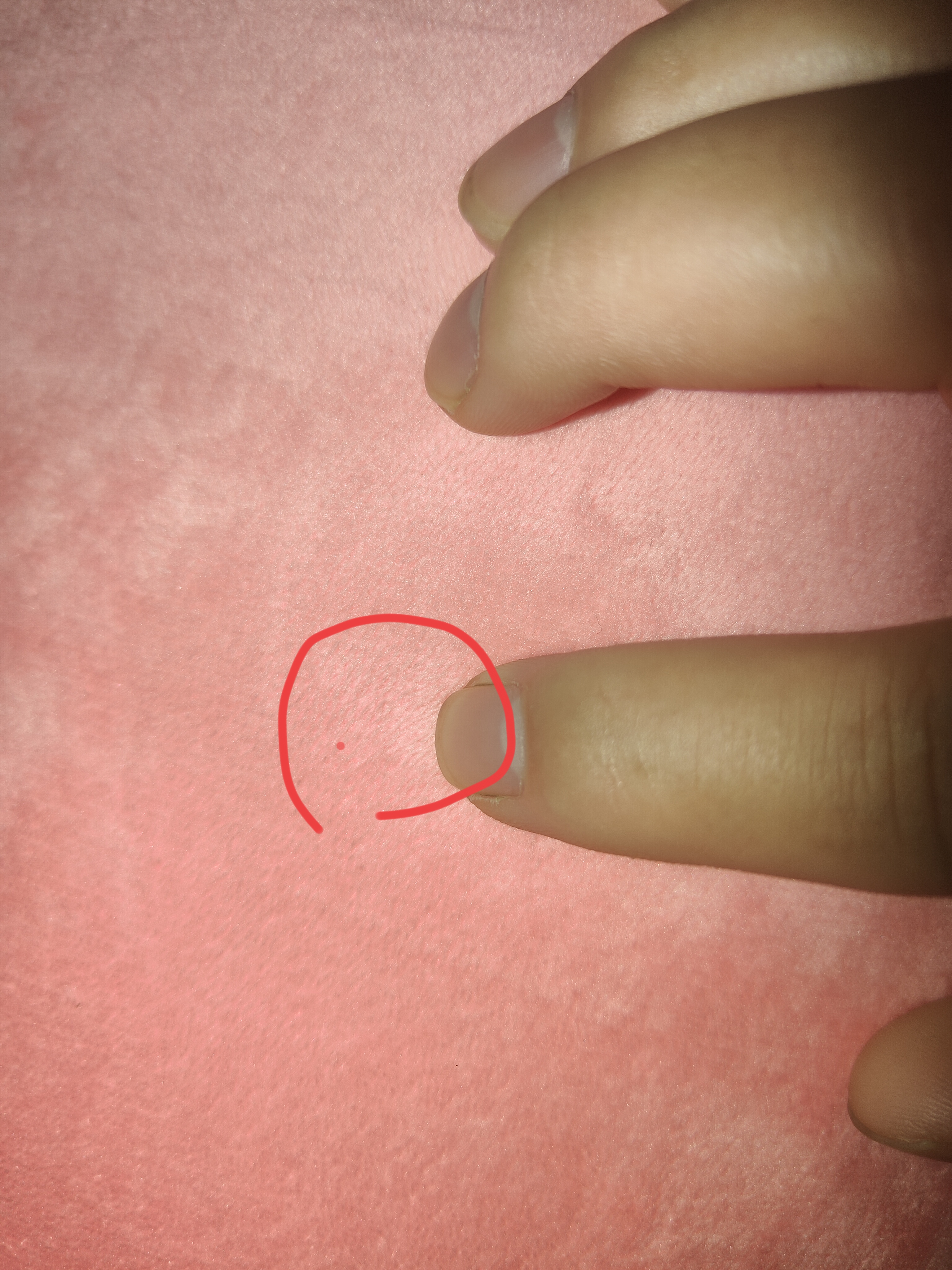 康润驿沣【当次日达】抱抱熊娃娃毛绒玩具女生睡觉抱枕玩偶公仔七夕节礼物 粉色圆眼（开心每一天） 1.5米（+20CM小哈） 实拍图