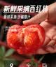 京鲜生山东普罗旺斯番茄净重3斤中大果100g+ 沙瓤水果西红柿源头直发 实拍图