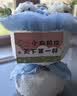 三彩熊小狗玩偶花束向日葵永生花女生送闺蜜生日礼物女士中秋节伴手礼 实拍图
