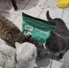 凯锐思天然猫粮成猫粮 鱼肉海洋鱼深海鱼天然粮 成猫20斤【囤货装】 实拍图