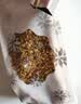 贡苑【手挑去杂】特级干桂花茶20g桂林原产纯原味精选无熏硫好货香甜 实拍图