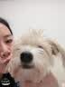 Meatyway爵宴宠物狗狗零食全家福礼盒2.04kg训犬宠爱大礼包 实拍图