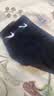 耐克（NIKE）袜子男袜女袜 2026新款运动休闲袜柔软舒适透气时尚吸汗运动袜 SX7677-010/热售/三双装/中袜 L/26-28厘米/42-46码 实拍图