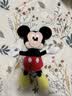 迪士尼（Disney）毛绒玩具米老鼠公仔安抚玩偶抱枕摆件布娃娃生日礼物送女生 米妮 实拍图