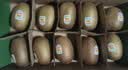 佳沛（zespri）新西兰金奇异果10个装单果重103-114g猕猴桃中秋节礼品送水果礼盒 实拍图