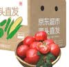 京鲜生 山东普罗旺斯番茄净重4.5斤中果115g+ 沙瓤水果西红柿源头直发 实拍图