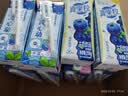 蒙牛真果粒蓝莓味牛奶饮品250g*12盒 新老包装 送礼礼盒 实拍图