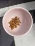 皇家猫粮 英短成猫粮 BS34 通用粮 12月以上 2KG 实拍图