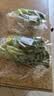 【烧烤季】钟灵山罗马生菜400g 实拍图