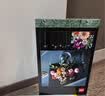乐高（LEGO）积木拼装10342 粉黛花束男女孩玩具家居装饰摆件 实拍图