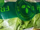【烧烤季】钟灵山罗马生菜400g 实拍图