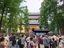 富士（FUJIFILM）一次成像拍立得mini相纸适用于mini13/7s/7c/8/9/11/12/40/90/EVO/liplay等 A：20张+相册+边框贴*2+PVC相框 【相纸+配件】 实拍图
