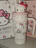 三丽鸥（SANRIO）HelloKitty公仔冰霸保温杯316不锈钢带吸管办公室女生日礼物500ml 实拍图