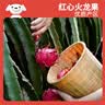 京鲜生 广西红心火龙果 净重8斤装 大果 单果400g+ 新鲜中秋水果礼盒 实拍图