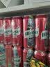 乌苏啤酒（wusu）红乌苏550mL*12罐 啤酒整箱装 批发婚宴聚餐 京东自营 实拍图