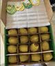 佳沛（zespri）新西兰金奇异果16粒经典果88-103g猕猴桃水果礼盒 实拍图