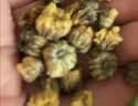 福茗源花草茶 菊花茶胎菊250g 特级无硫头采胎菊茶白菊花蕾泡水喝养生茶 实拍图