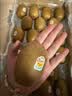 佳沛（zespri）新西兰金奇异果22粒巨大原箱146-175g猕猴桃水果礼盒 实拍图