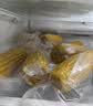 十月稻田 黄糯6cm玉米段 8段 共1.6斤 东北杂粮粗粮 低脂早餐 火锅食材 实拍图