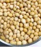 方家铺子中华老字号 有机黄豆350g 可打豆浆 五谷杂粮大豆粗粮  实拍图
