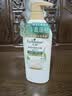 艾诗（Enchanteur）洗发水 植物控油洁净去屑止痒持久留香香氛洗发露 翡翠山茶500g 实拍图