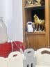 小度智能摄像机C800 AI看护版 家用监控 4K超清摄像头800万像素 红外夜视家用室内 实拍图
