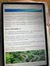 HUAWEIMatePad 11.5 柔光版 华为平板电脑 护眼屏 鸿蒙AI 大电池 学生平板儿童学习机 8G+256G冰霜银 实拍图