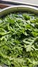 蒿子杆300g(茼蒿） 实拍图